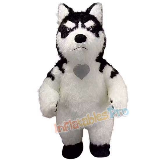 スポーツドッグアン不安ジャケット犬用コスチューム